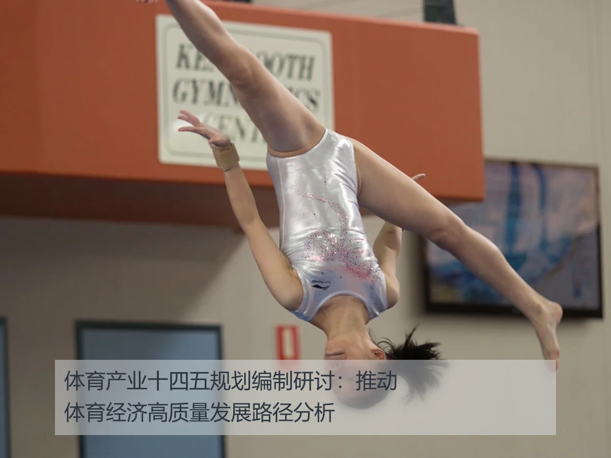 体育产业十四五规划编制研讨:推动体育经济高质量发展路径分析